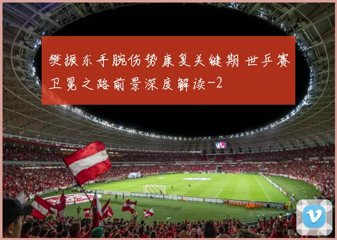 樊振东手腕伤势康复关键期 世乒赛卫冕之路前景深度解读