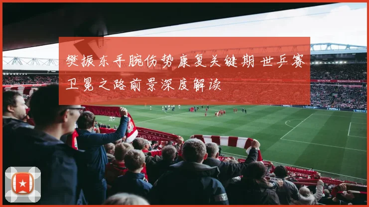 樊振东手腕伤势康复关键期 世乒赛卫冕之路前景深度解读
