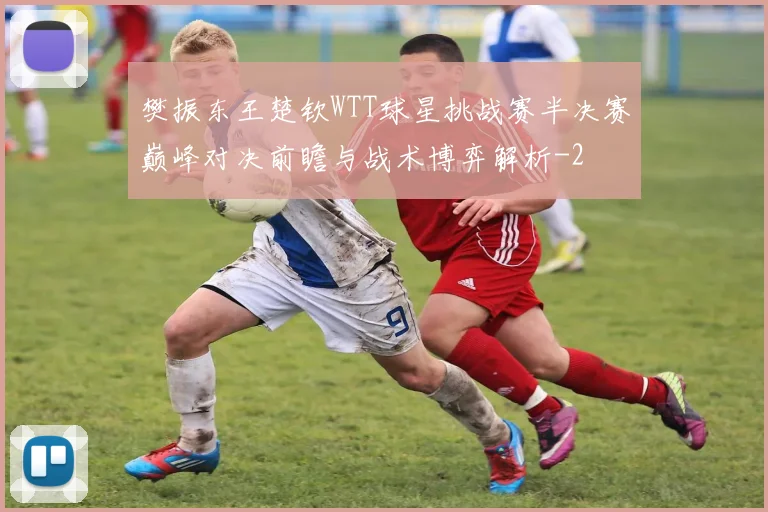 樊振东王楚钦WTT球星挑战赛半决赛巅峰对决前瞻与战术博弈解析