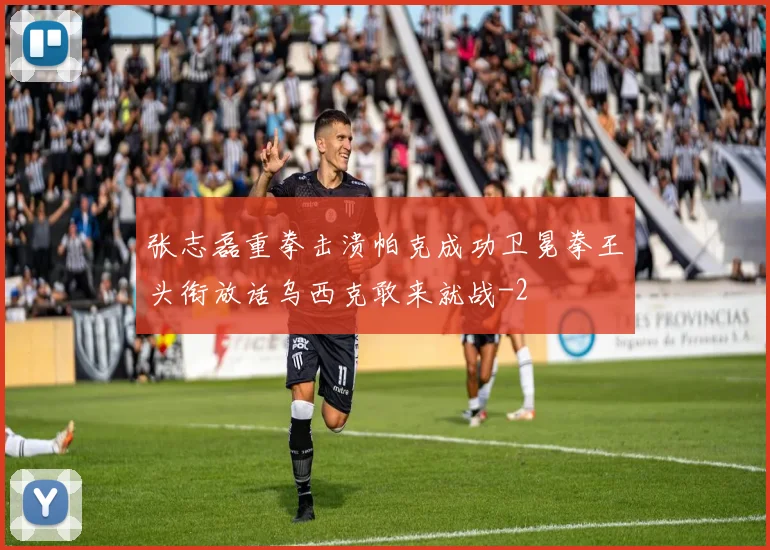 张志磊重拳击溃帕克成功卫冕拳王头衔放话乌西克敢来就战