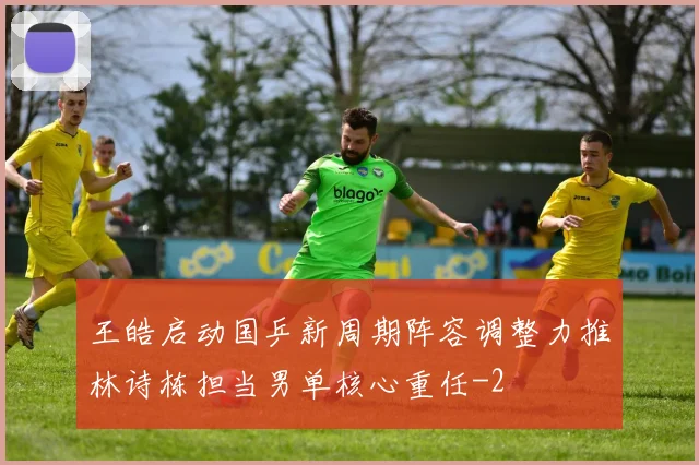 王皓启动国乒新周期阵容调整力推林诗栋担当男单核心重任