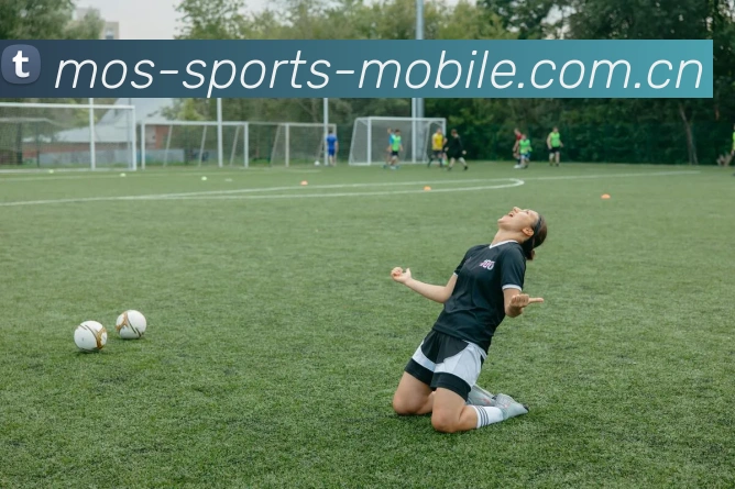 奖项证书